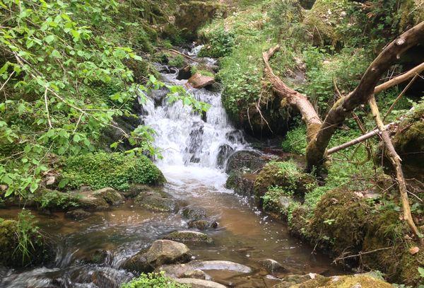gorges de Ceyrat rivière forêt
