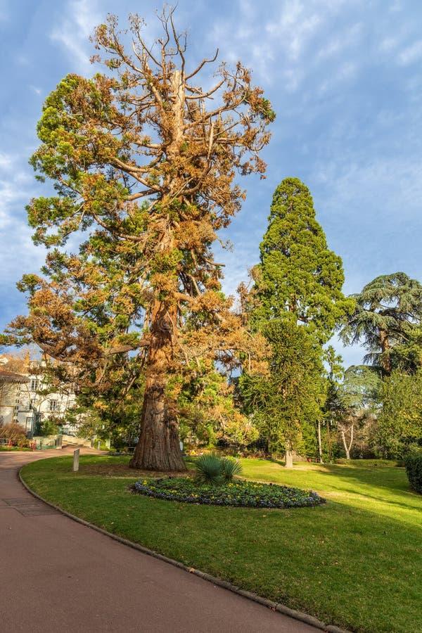 Jardin Lecoq stadspark Clermont